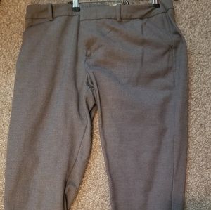 Capri Cut Dress Slacks